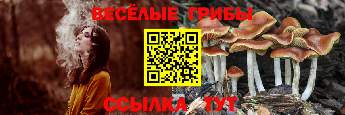Аргун  Галлюциногенные грибы MAGIC MUSHROOMS  Вход с VPN 