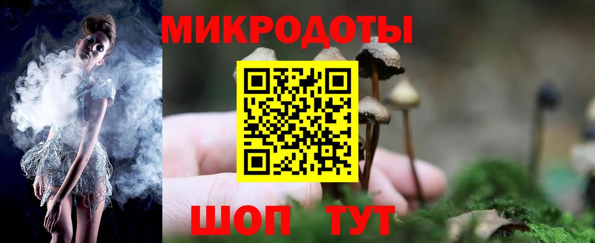 Галлюциногенные грибы GOLDEN TEACHER Аргун
